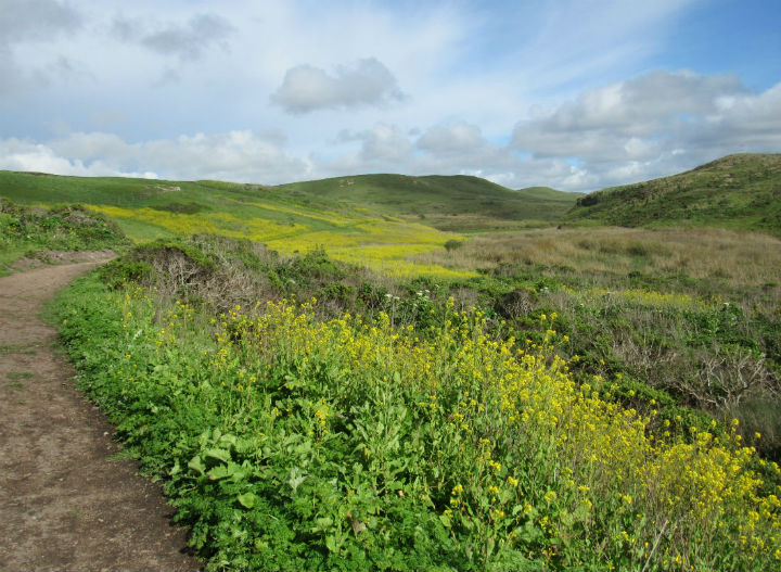 Point Reyes National Seashore